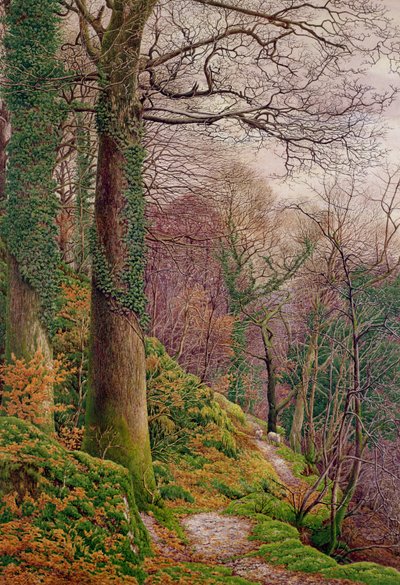Un chemin dans les bois - Edward Bentley